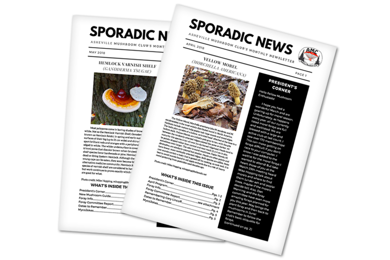newsletter